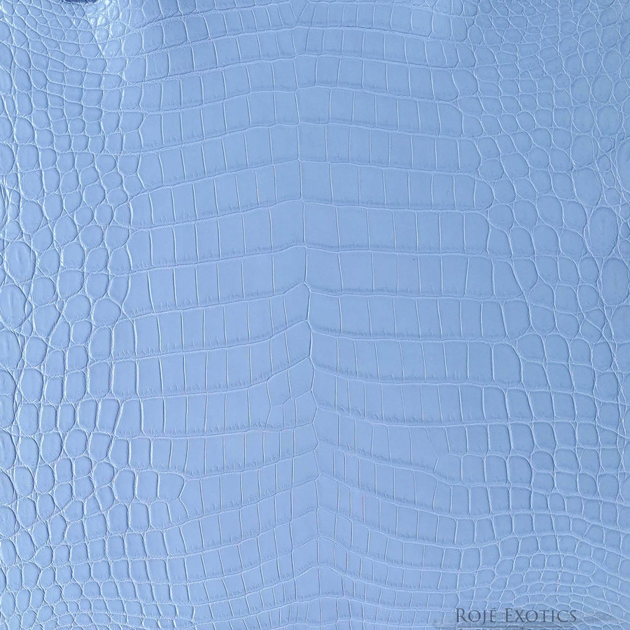 Niloticus - S. Blue - Millennium