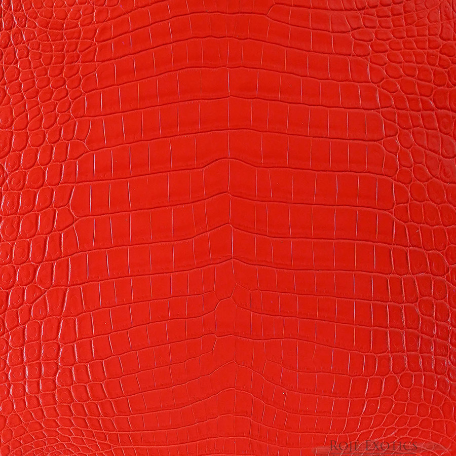 Niloticus - Orange - Millennium