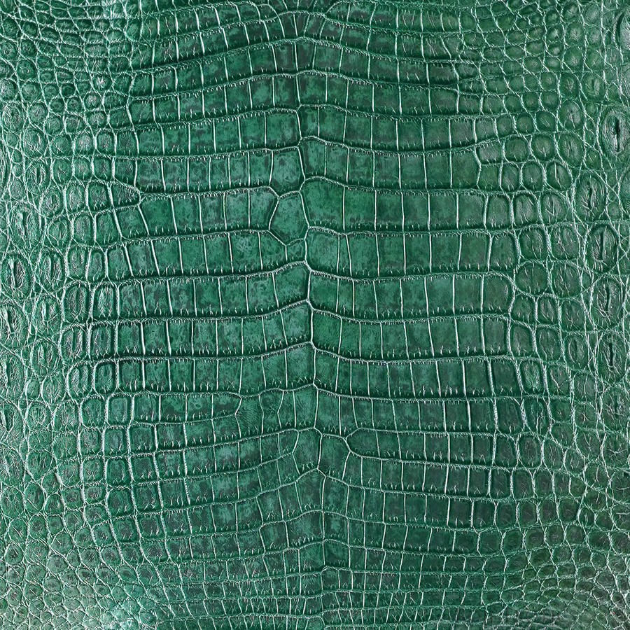 Niloticus - G. Metallic - Millennium