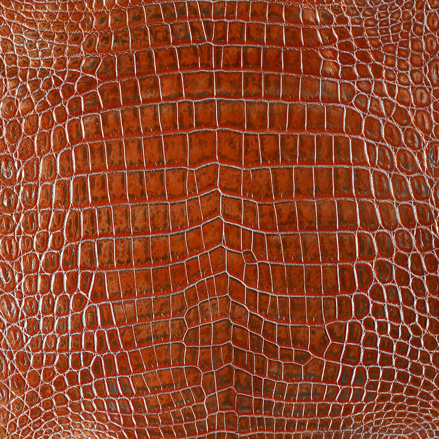 Niloticus - O. Metallic - Millennium