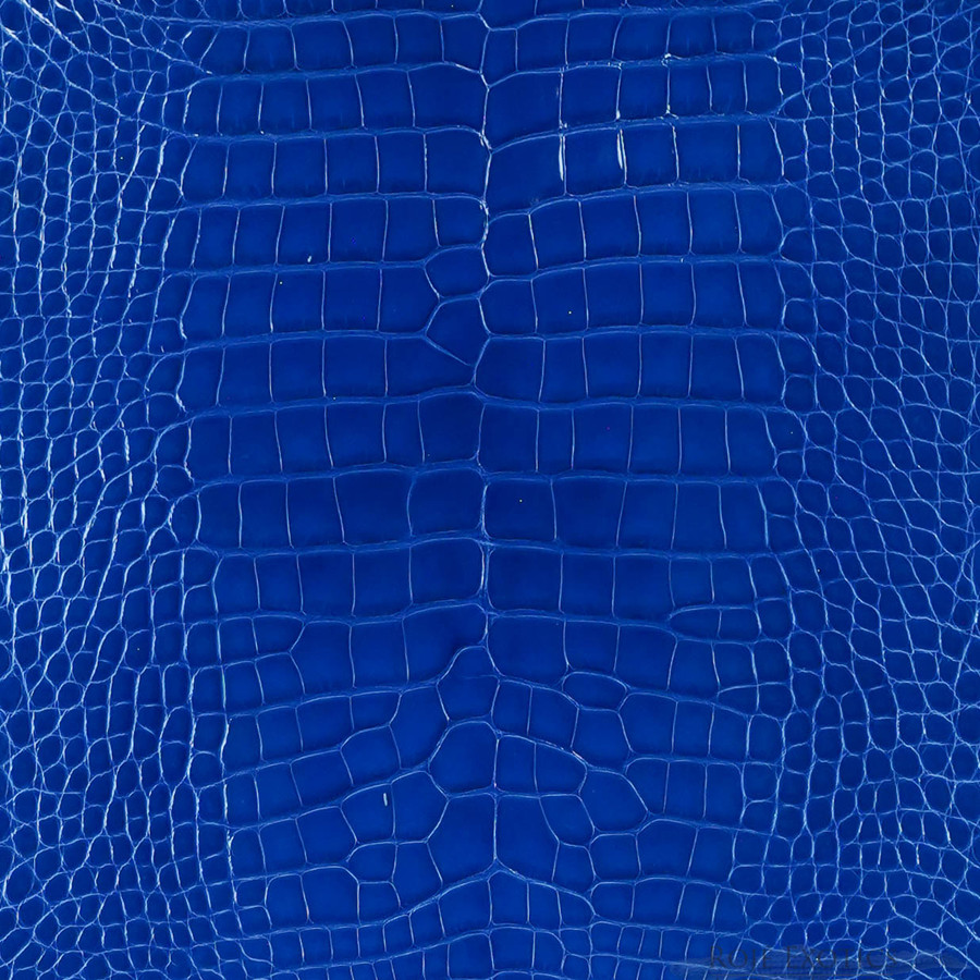 Alligator - Blue - Glazed