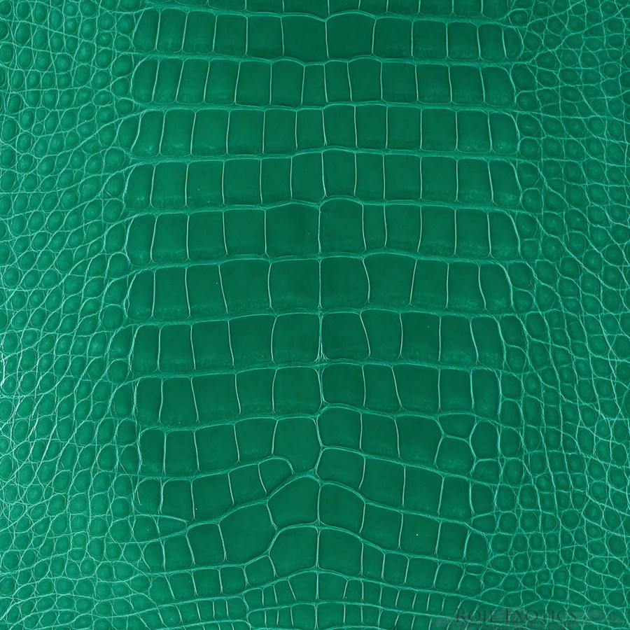 Alligator - K. Green - Glazed