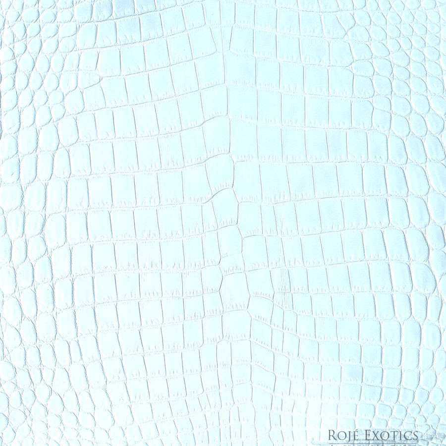 Niloticus - White - Matte