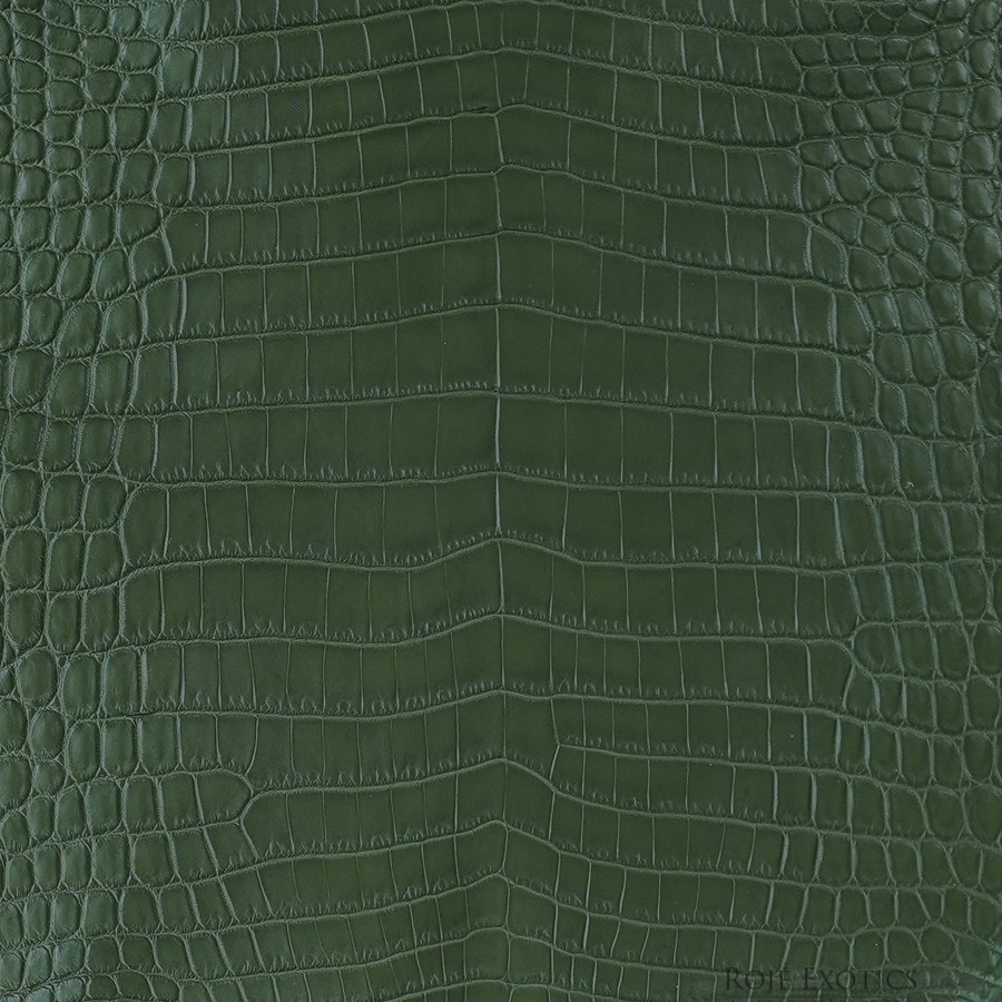 Niloticus - M. Green - Matte