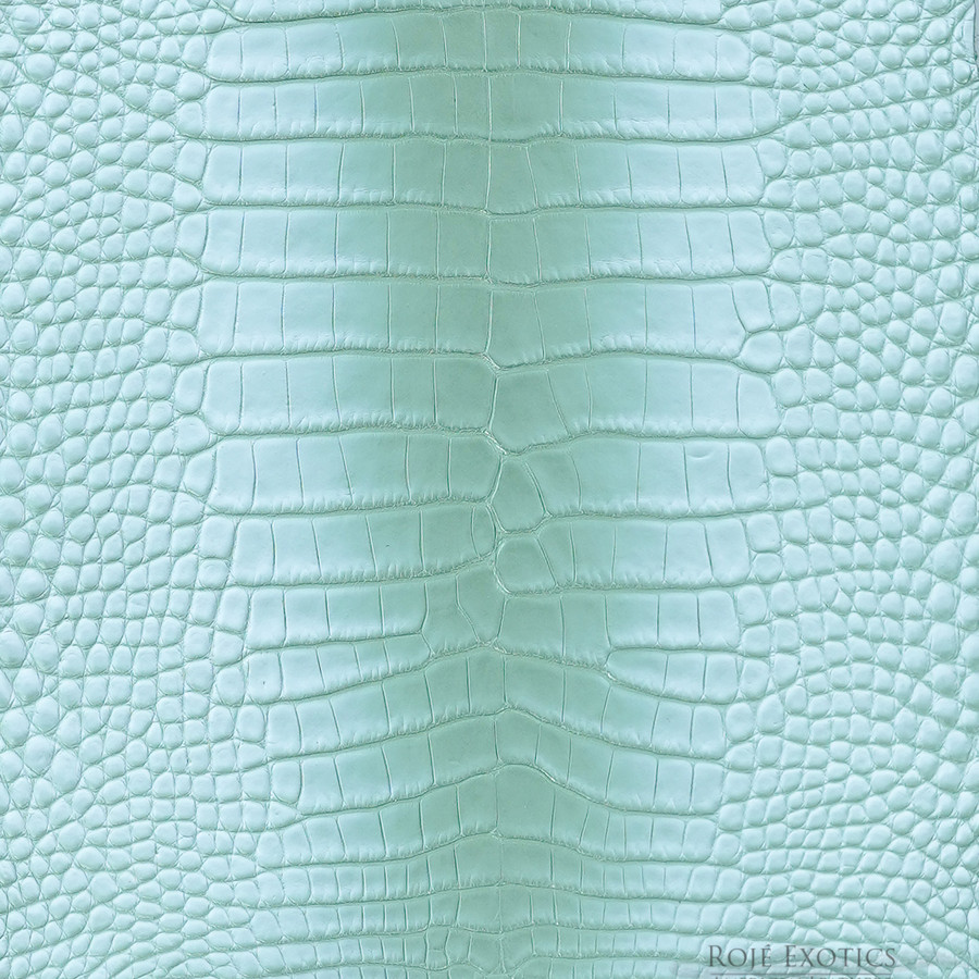 Porosus - C. O. - 2  Tone - Millennium