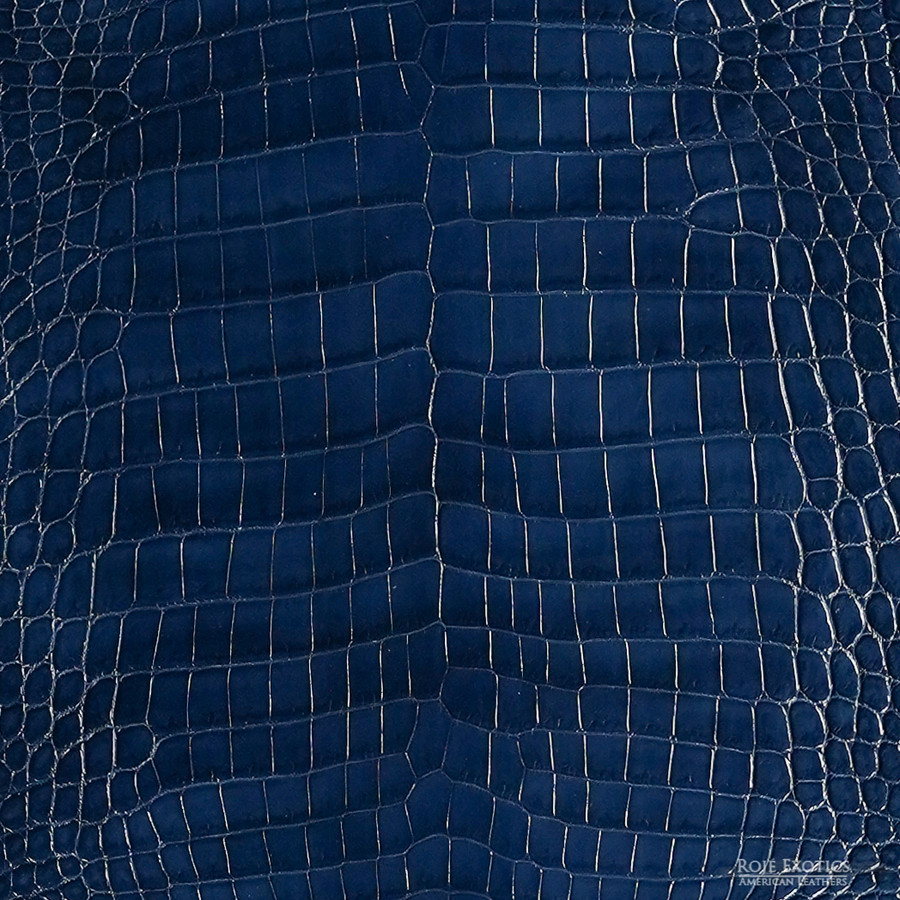 Niloticus - Navy - Glazed