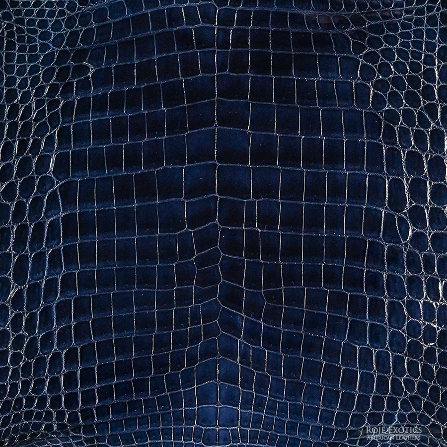 Niloticus -D. Navy - Glazed