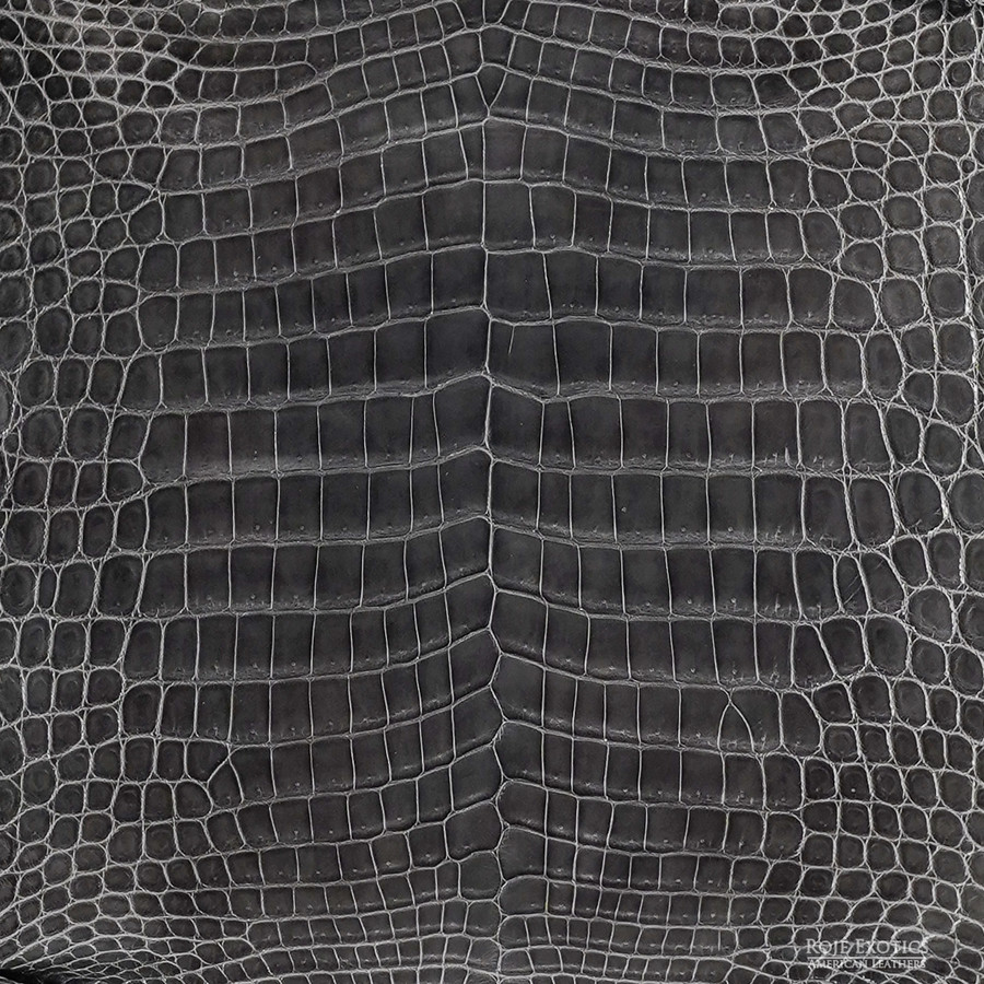 Niloticus - Grey - Glazed