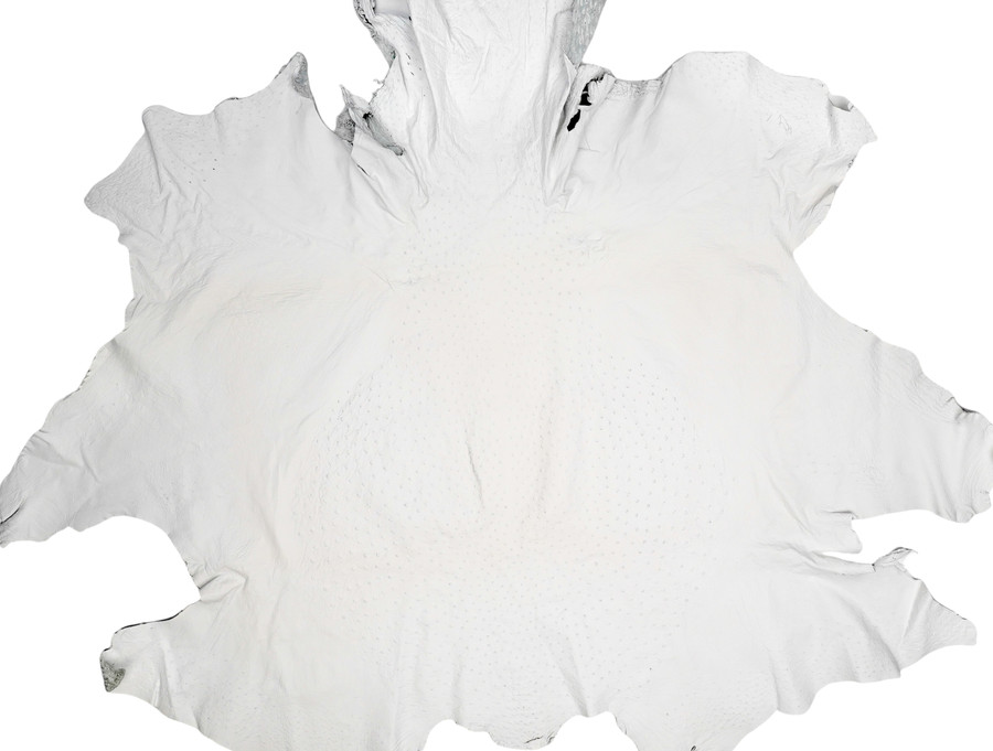 Ostrich - White  - Matte - Grade 3