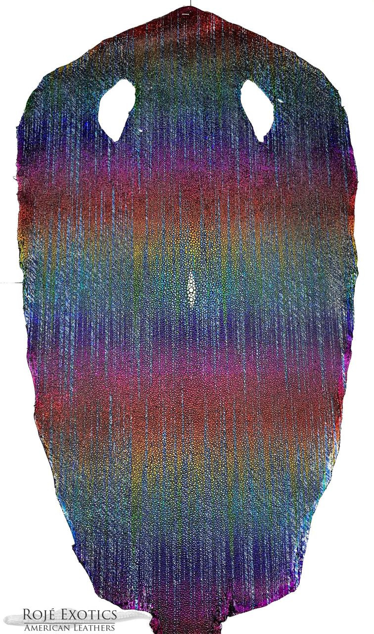 Stingray - Rainbow - Hologram