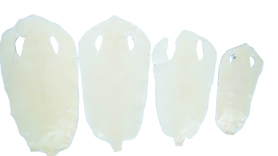 Stingray - White - Polished 