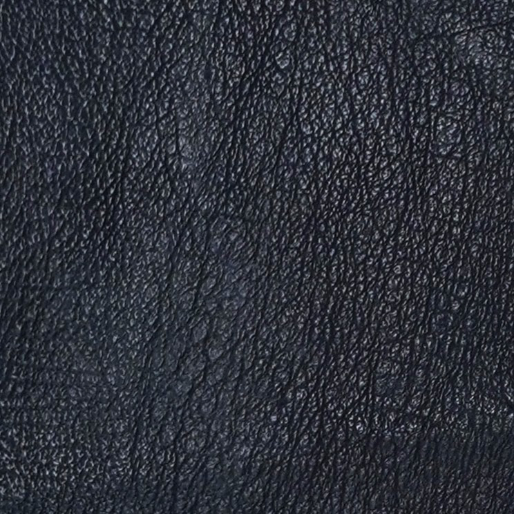 Shark - Black - Matte