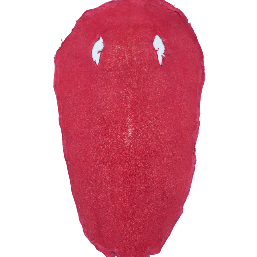 Stingray -  Red -  Polished
