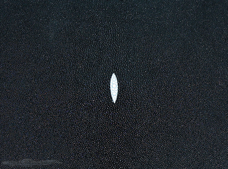 Stingray - Black - Caviar