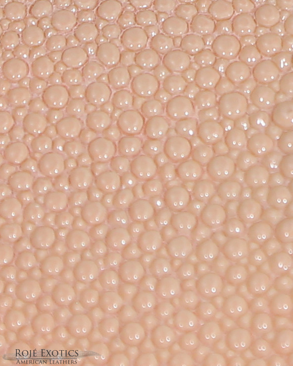 Stingray - Peach - Caviar