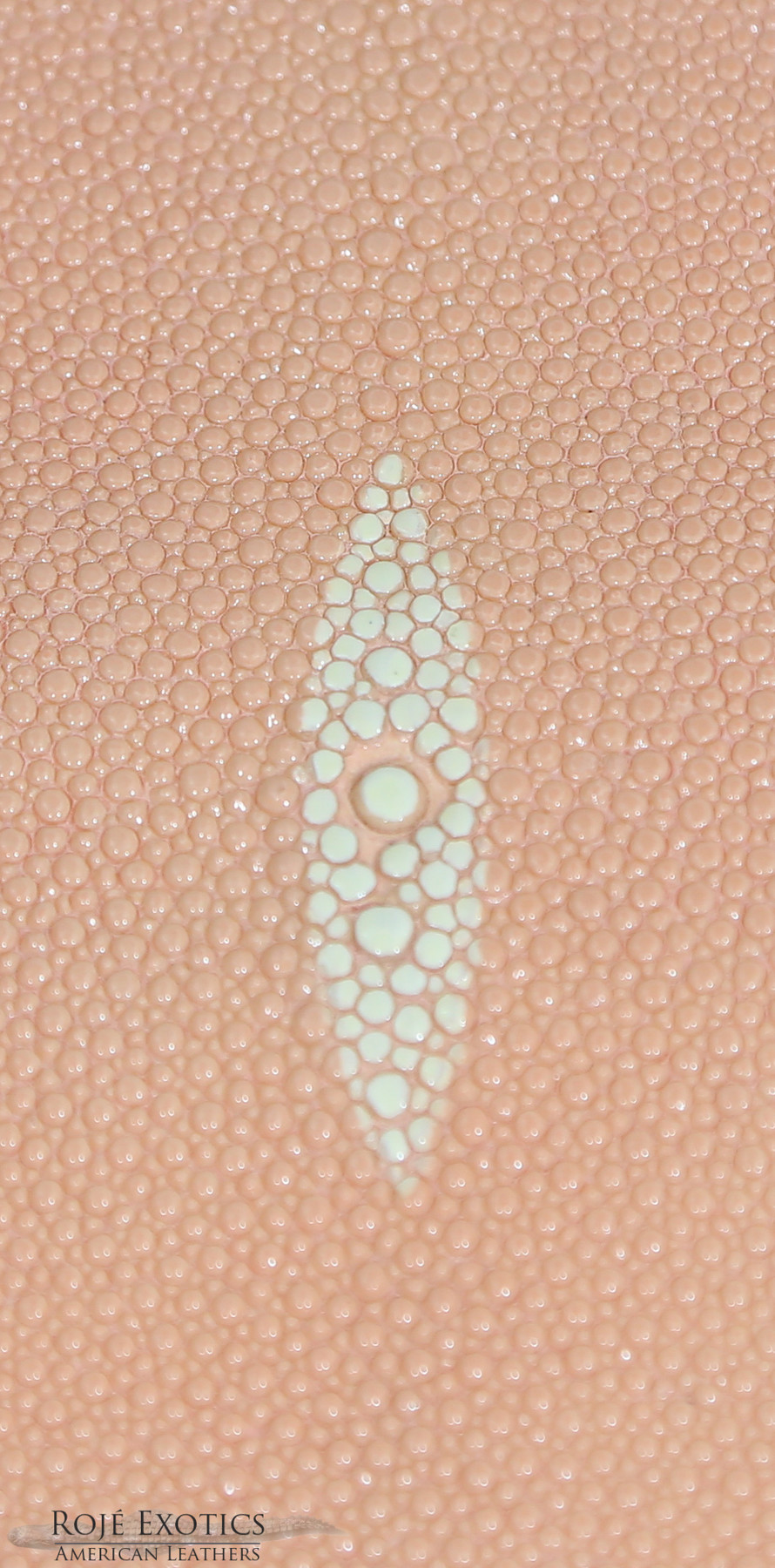 Stingray - Peach - Caviar