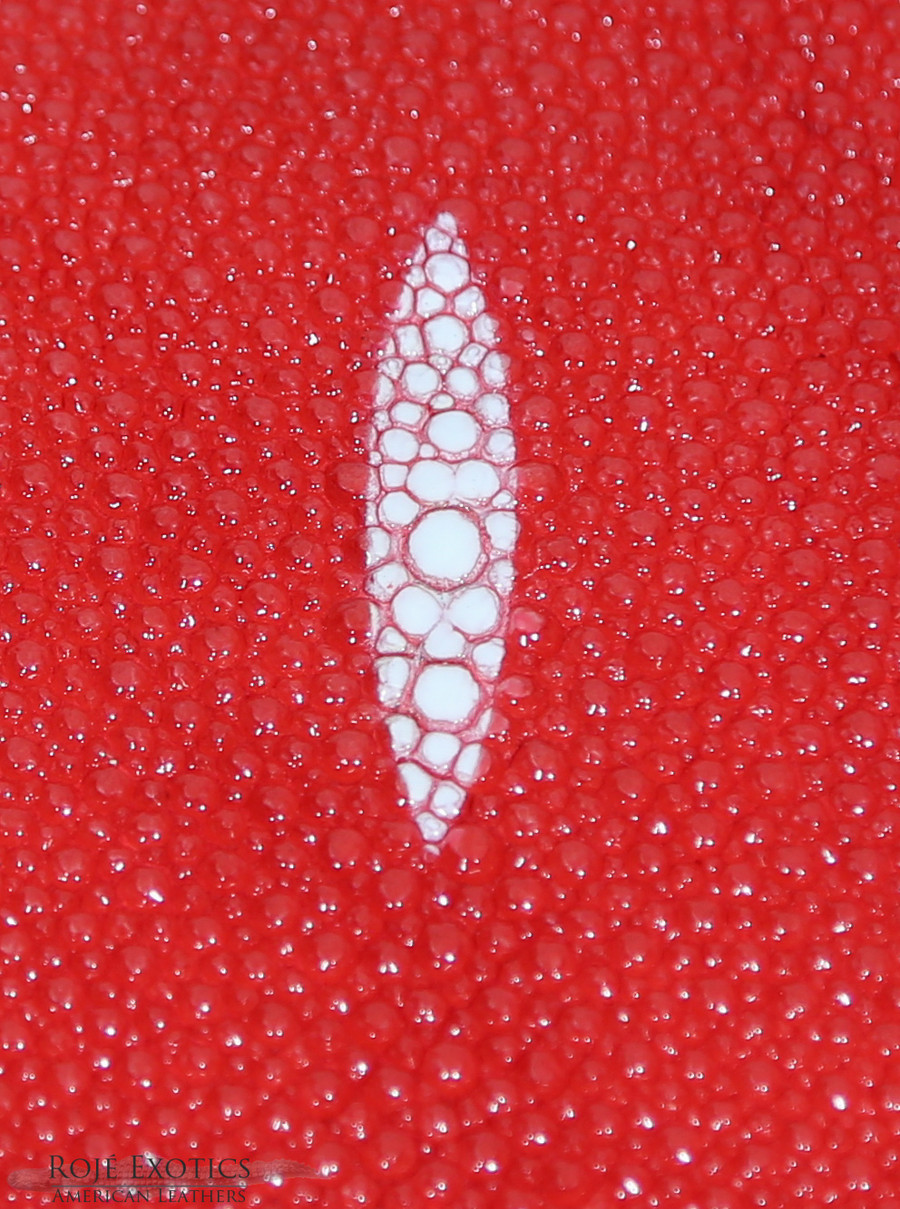 Stingray - Red - Caviar