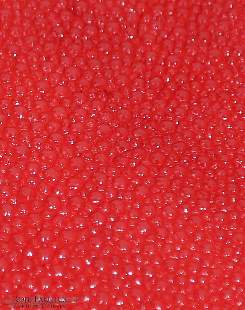 Stingray - Red - Caviar
