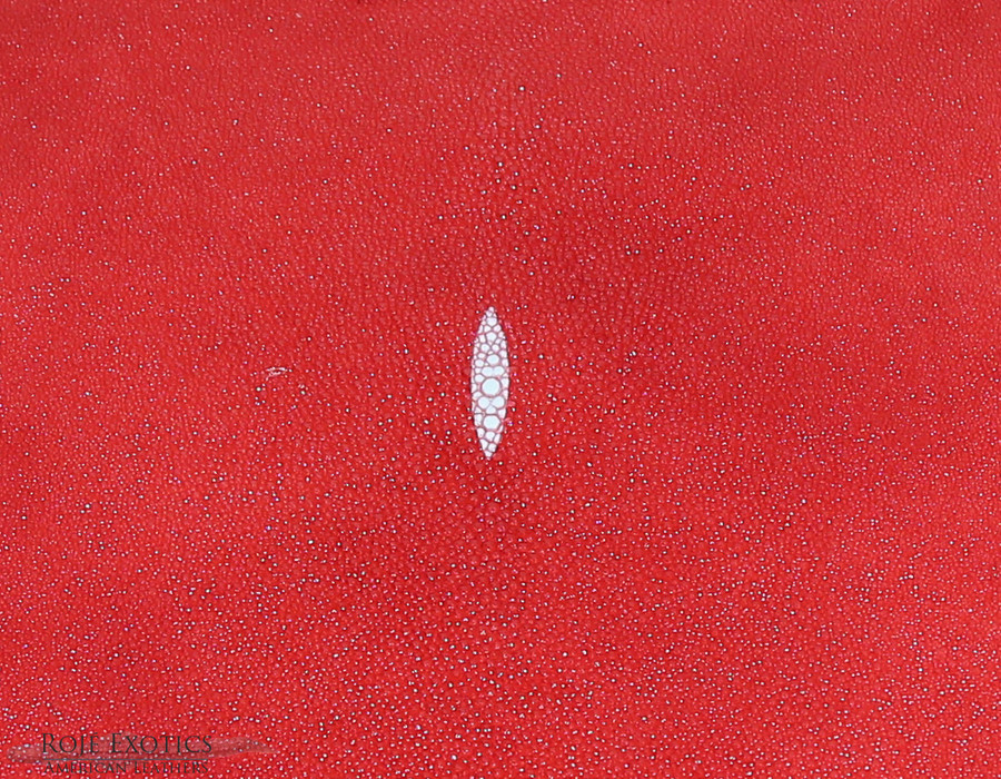 Stingray - Red - Caviar