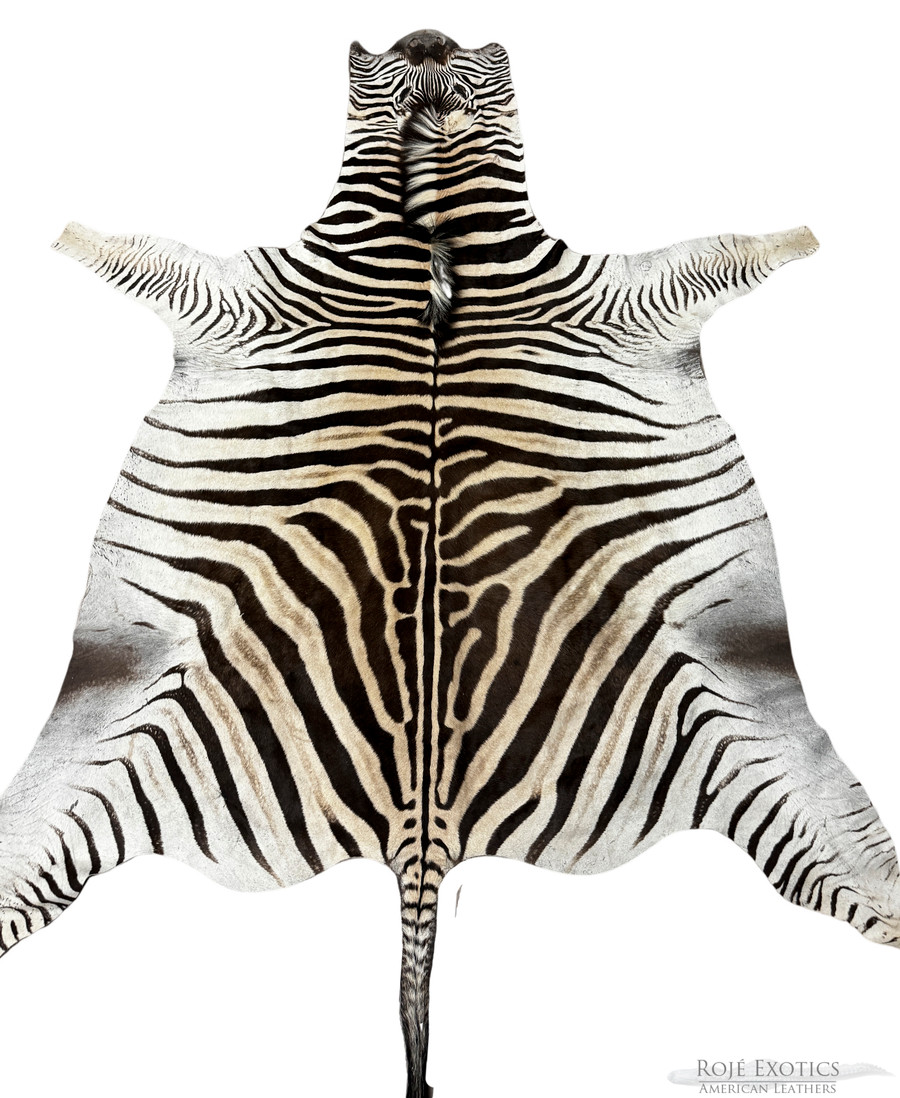 Zebra Skin  Grade A -11