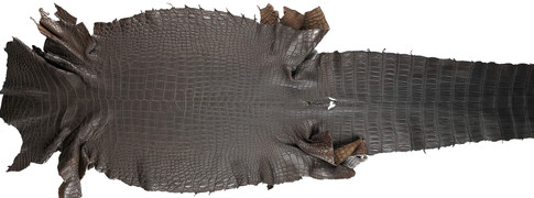 Matte Porosus Crocodile Skin (Grade II/III)