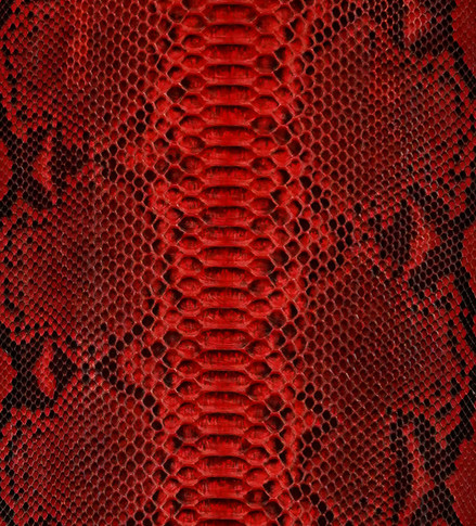 Python Leather  Roje Exotic Leather