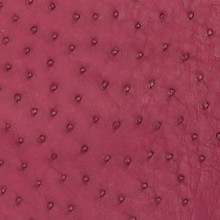 Ostrich leg leather pink - Exotic Leathers Europe