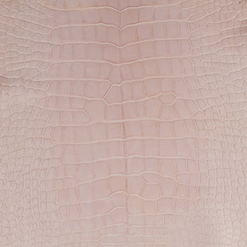 pink crocodile skin
