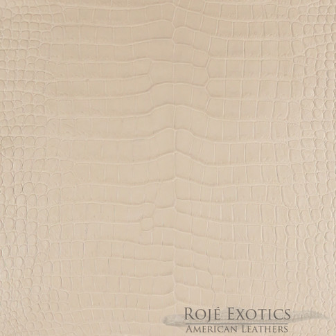 Exotic crocodile leather tanning and finishes in luxury leather