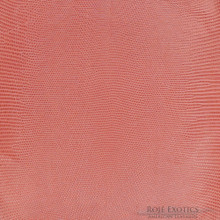 Lizard Leather | Roje Exotic Leather