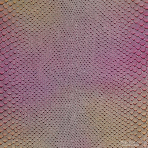 Roje Rere Molurus – F.C – 414-2 | Roje Exotic Leather