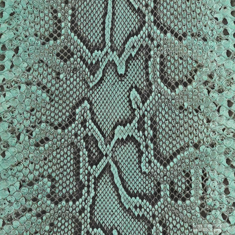 Ghate Roje Molurus – F.C – U.B. – 693 | Roje Exotic Leather