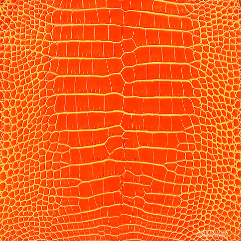 Alligator – 2.T. – Orange – Millennium | Roje Exotic Leather