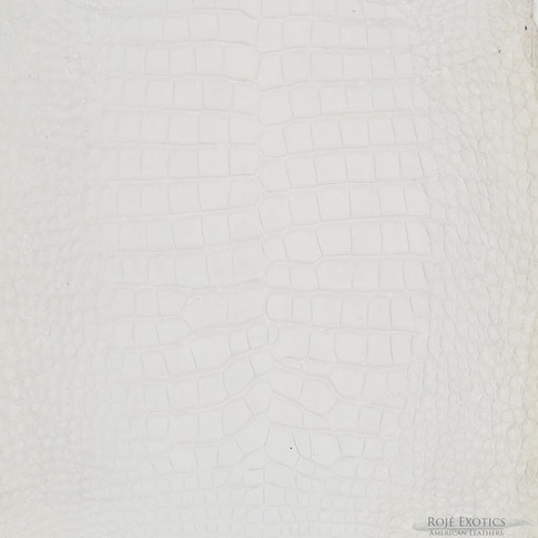 Alligator – White – Nubuck | Roje Exotic Leather