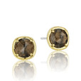 Gemma Bloom Smokey Quartz Fashion Earrings | SE154Y17