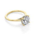 2.50 ct Round Solitaire Yellow Gold Engagement Ring (FG87-250-YG)