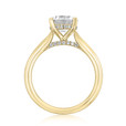 2 ct Round Solitaire Yellow Gold Engagement Ring (FG87-200-YG)