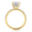 2.50 ct Round Micro-Prong Yellow Gold Engagement Ring (EV20-YG)