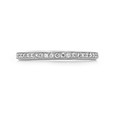 14K White Gold Pavé Set Diamond Band (GC19B-WG)