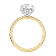 2 ct Round Two-Tone Micro-Prong Engagement Ring (EV20T)