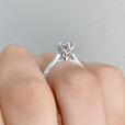 6-Prong Engraved Engagement Ring (EV8)
