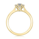 1 ct Danhov Classico 6-Prong Yellow Gold Engagement Ring  (CL117-YG)