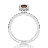 1 ct Grey Round Hidden Halo Platinum Engagement Ring (CR19-PL)