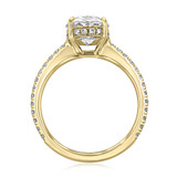 2 ct Oval Micro-Prong Yellow Gold Engagement Ring (EV160OV-YG)