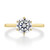 1.50 ct Round 6-Prong Solitaire Yellow Gold Engagement Ring (EV117-YG)