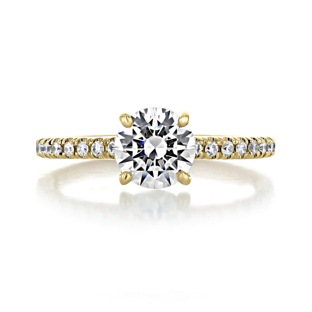 1 ct Round Micro-Prong Yellow Gold Engagement Ring (CR160RD)