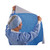 QUICK CHECK* H200 Sterilization Wrap Dual Layer White Blue 24 x 24"