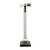 seca 777 Digital Column Scale with Height Rod 550 lbs. / 250 kg