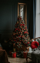 Real Christmas trees or Artificial Christmas trees? Real Christmas trees or Artificial Christmas trees?