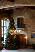 What is the history behind the Christmas tree? What is the history behind the Christmas tree?